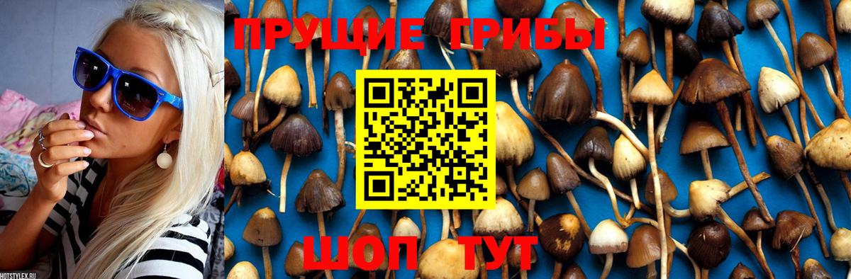 Псилоцибиновые грибы мухоморы Астрахань