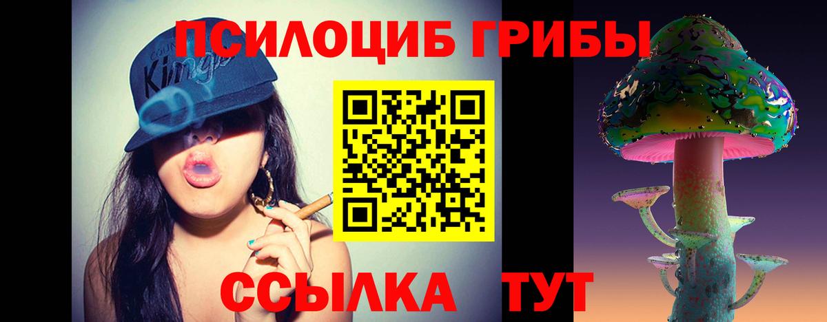 Галлюциногенные грибы GOLDEN TEACHER  Псилоцибиновые грибы мицелий  Вход с VPN  Астрахань 